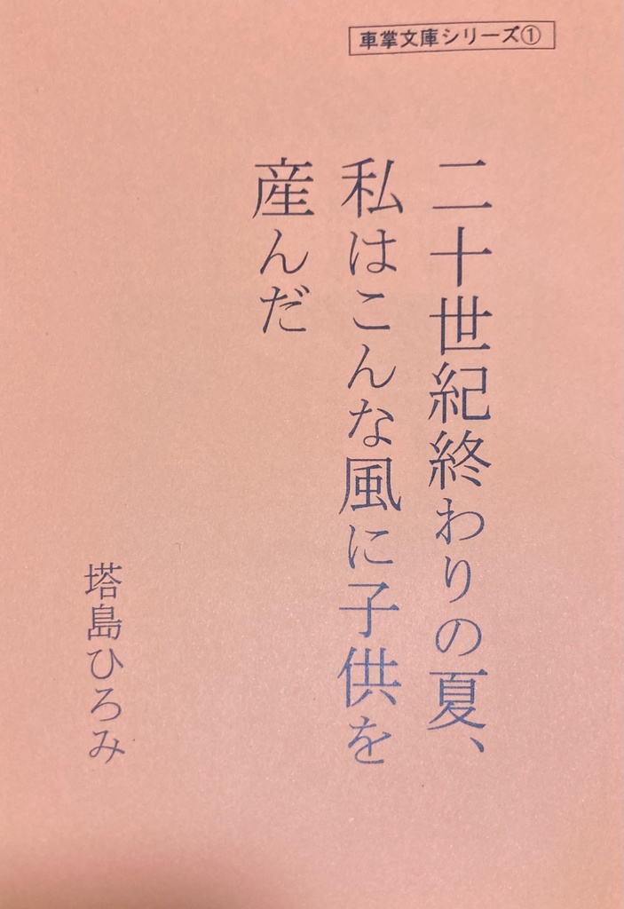 二十世紀終わりの夏、私はこんな風に子供を産んだ　塔島ひろみ