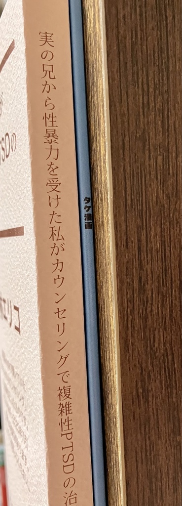 実の兄から性虐待を受けた私がカウンセリングで複雑性PTSDの治療に取り組んだ記録