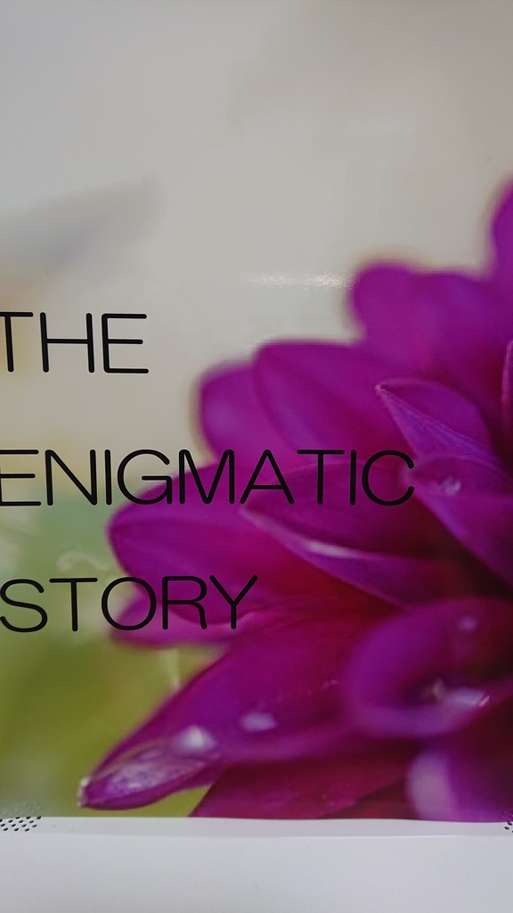 THE ENIGMATIC STORY