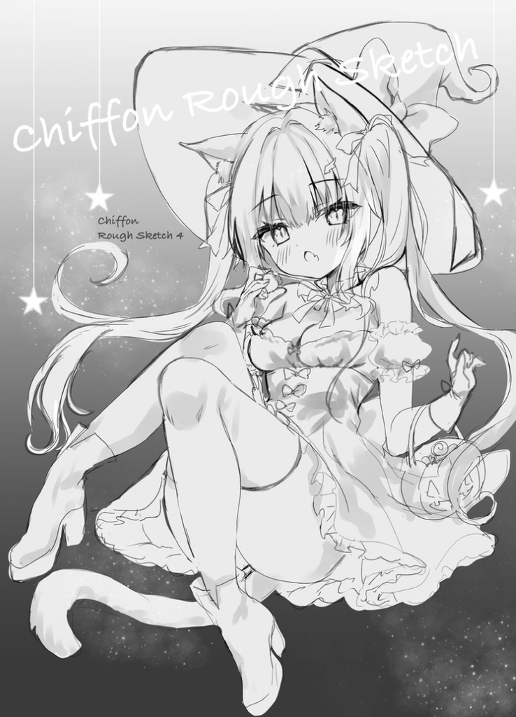 【残り僅か】Chiffon Rough Sketch4