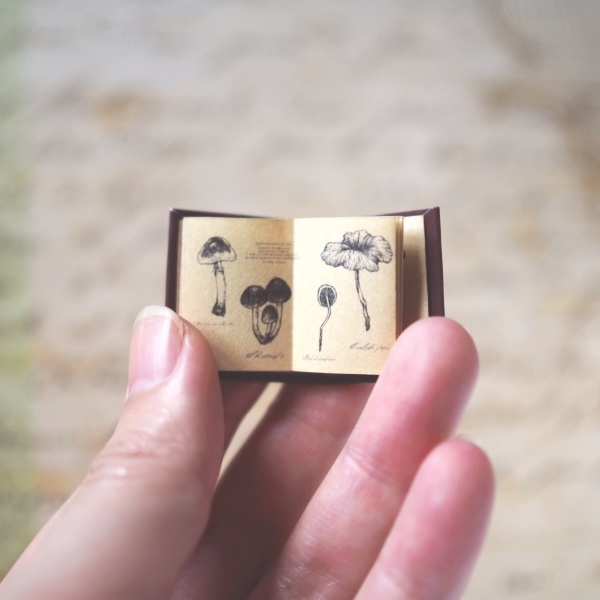 豆本「きのこ図鑑」