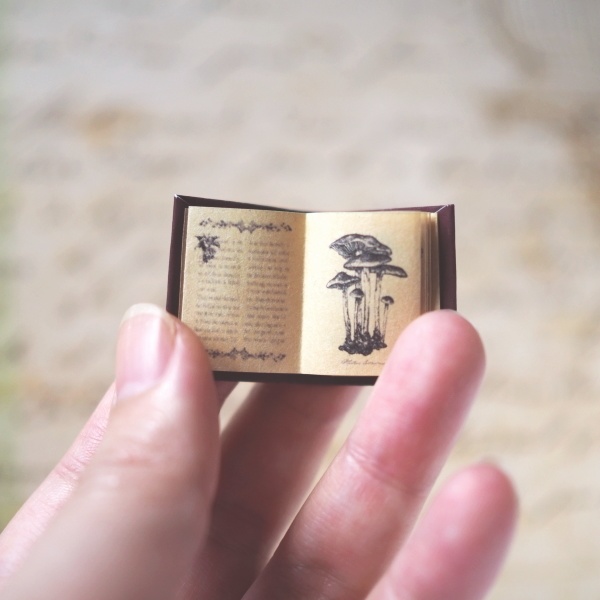 豆本「きのこ図鑑」