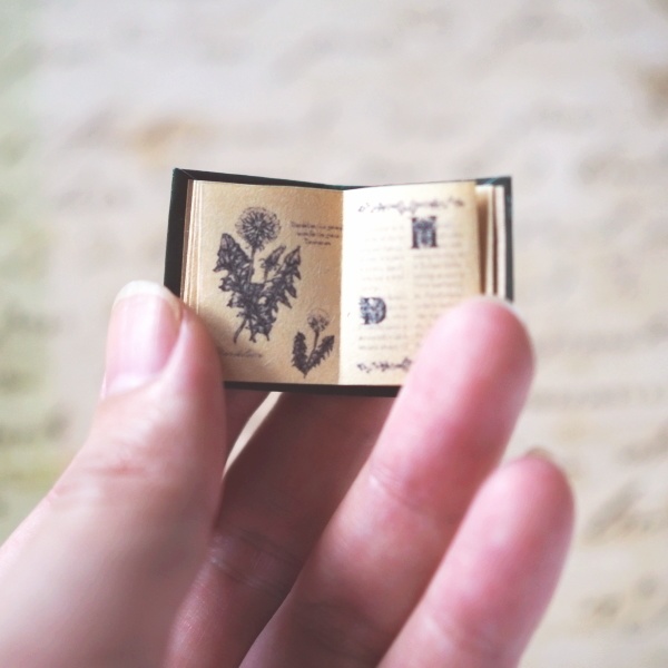 豆本「野の花図鑑」