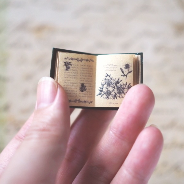 豆本「野の花図鑑」