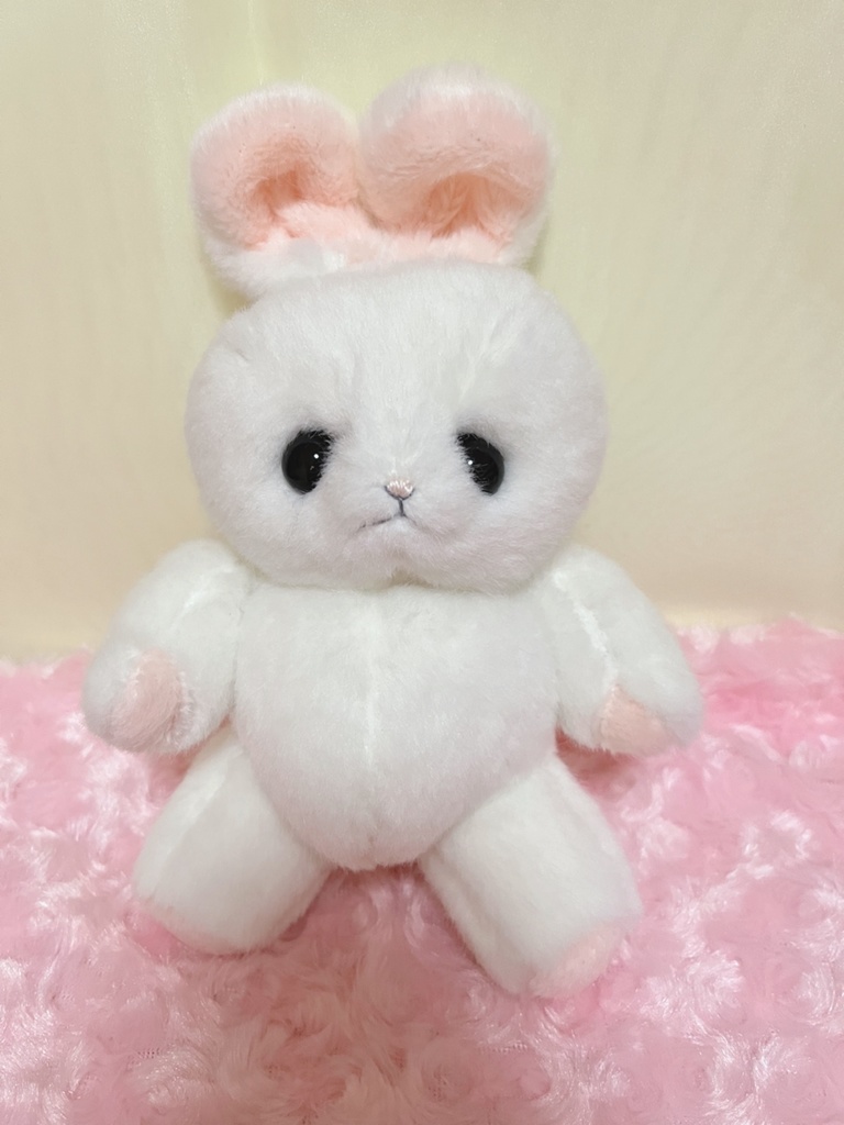 ぽんぽこうーたん　試作4