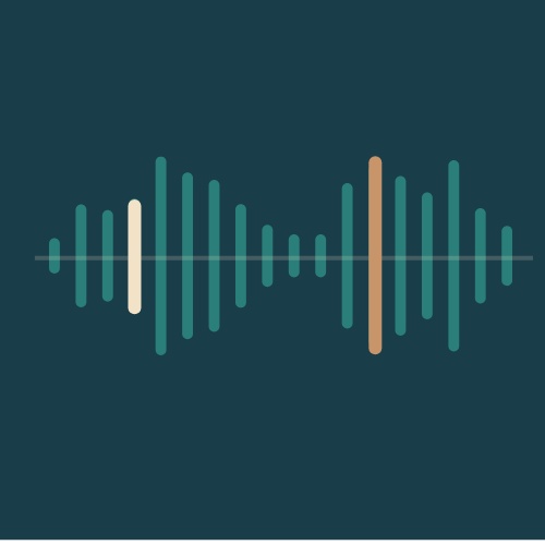 夜のレコード棚 | Coastal Ambient デジタルステッカー Vol.1