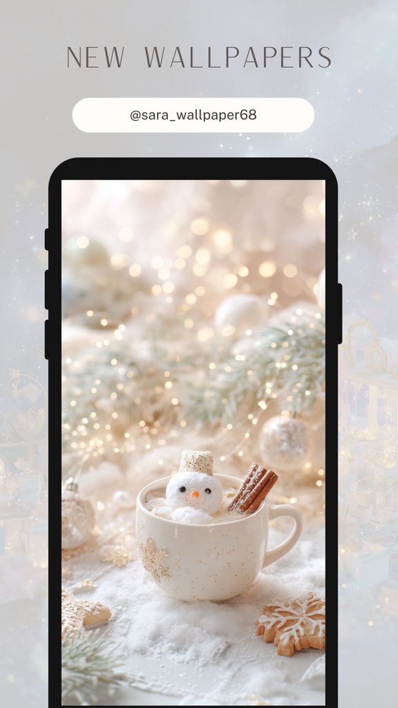 冬の壁紙(SARAサインなし)24枚