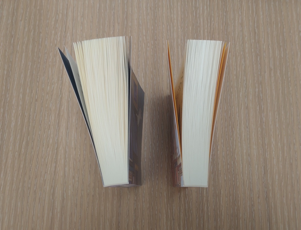 A cat has nine lives. The Goblet of Fire Ⅰ・Ⅱ(炎のゴブレット編上下セット)