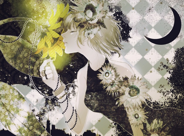 【ポストカード】Light and Night(12枚+1枚セット)