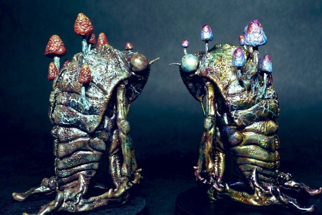 蝉さん(冬虫夏草)