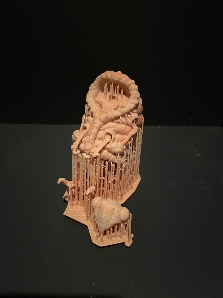 蝉さん ダウンジャケット