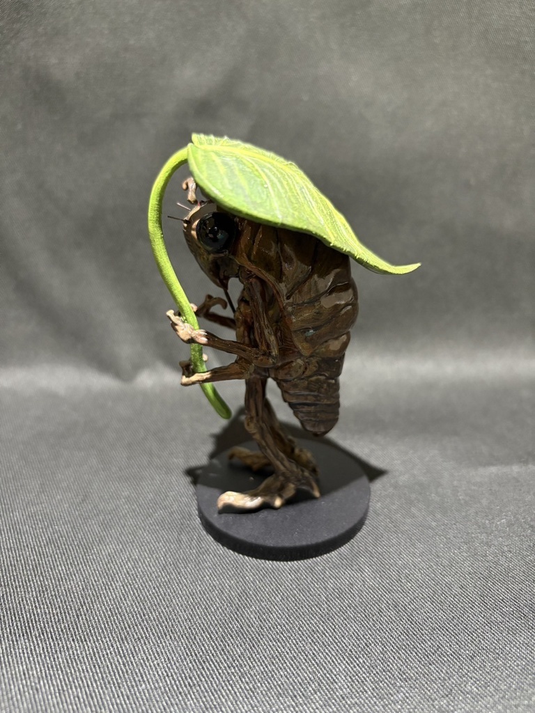 蝉さん 葉っぱ傘