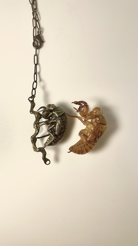 蝉の幼虫のアクセサリー(メンズ)
