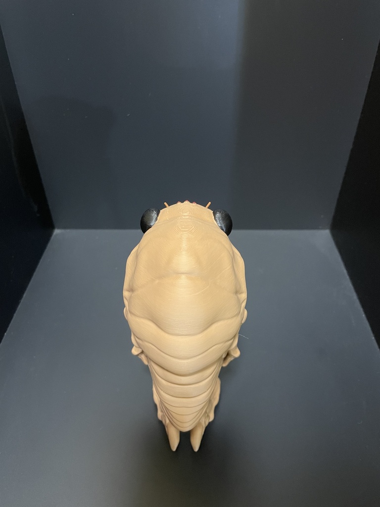 FDMプリント 素立ち蝉さん 完成品