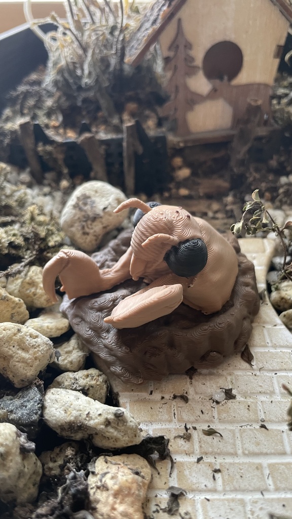 蝉の幼虫マグネット 完成品
