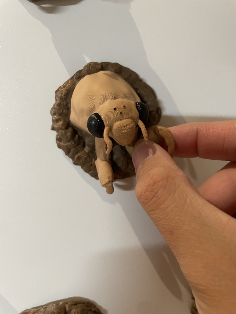 蝉の幼虫マグネット 完成品