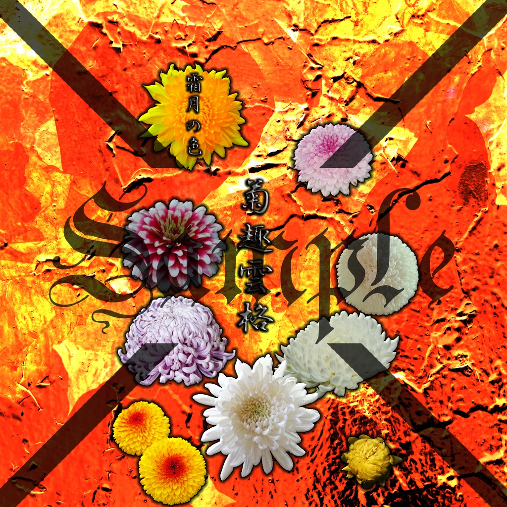 菊の待ち受け画像