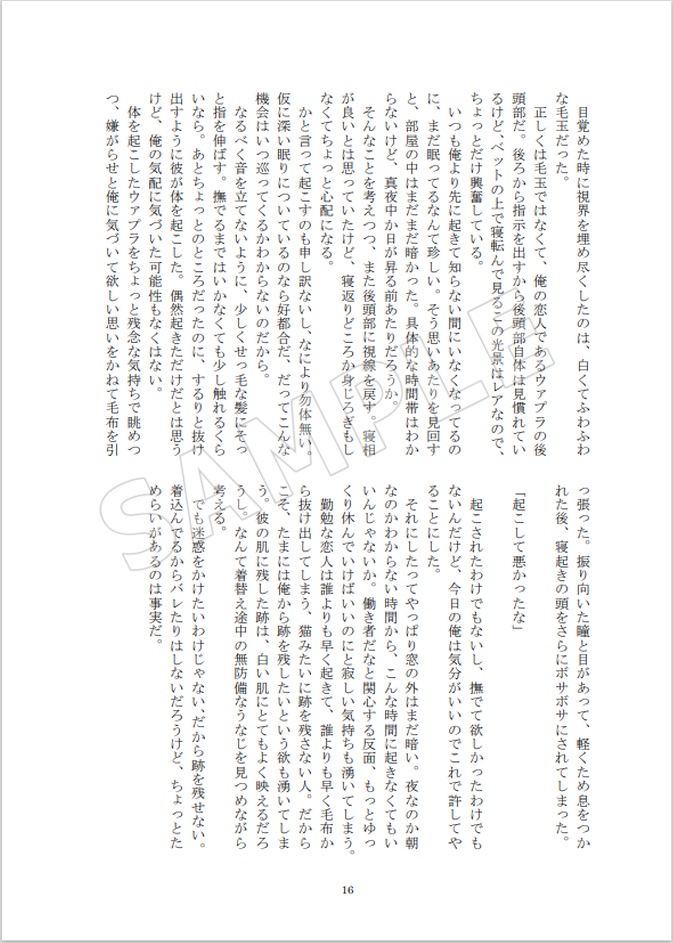 ウァプソロ 「Searching for the Pola star」