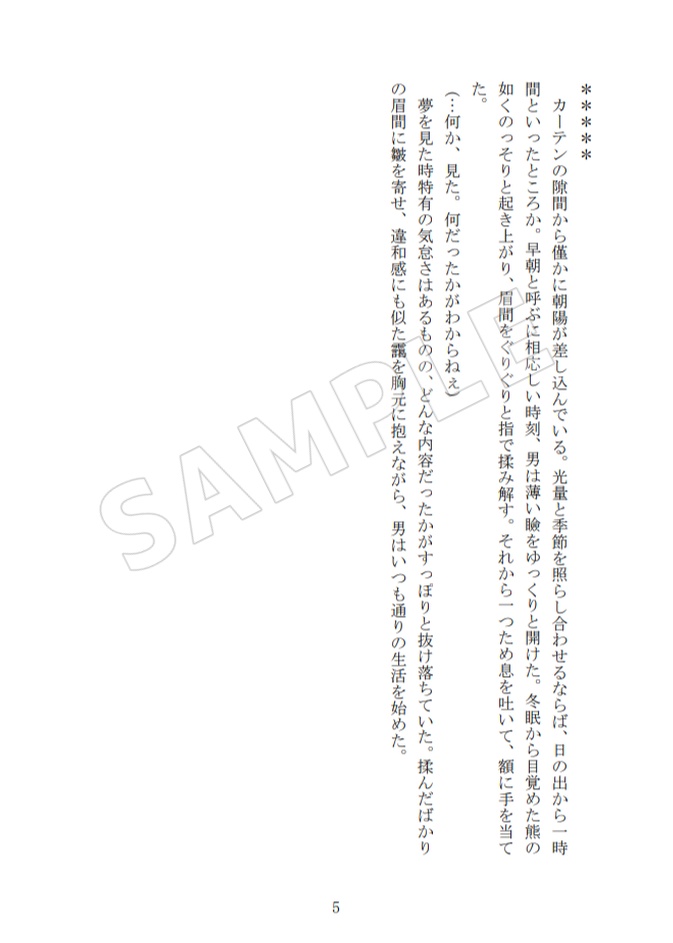 ウァプソロ 「Searching for the Pola star」