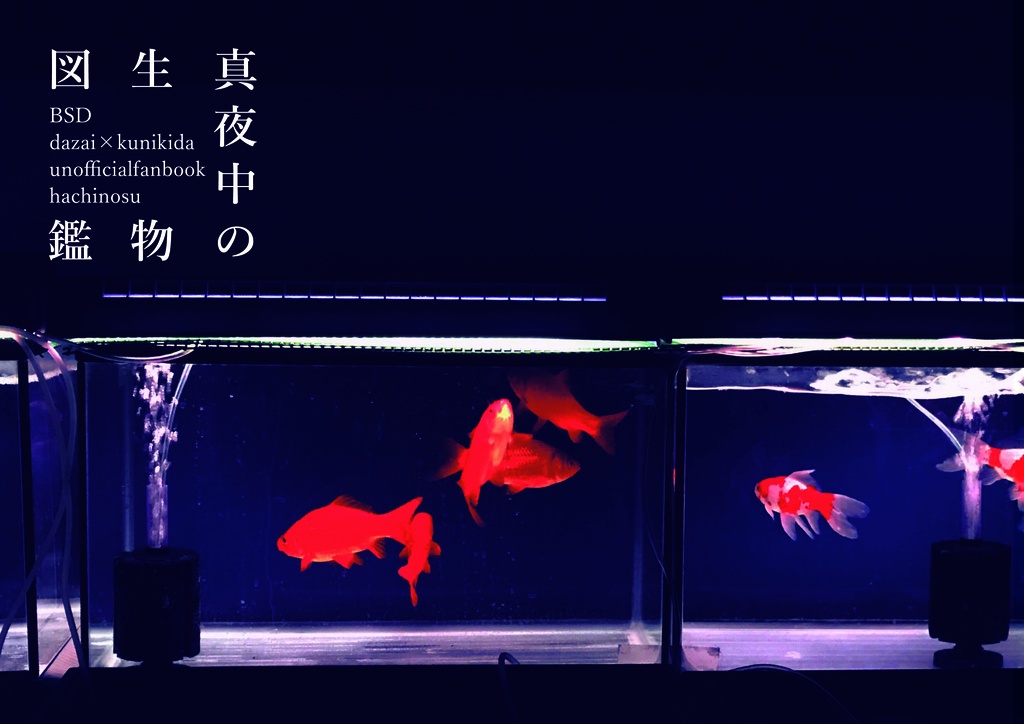 真夜中の生物図鑑