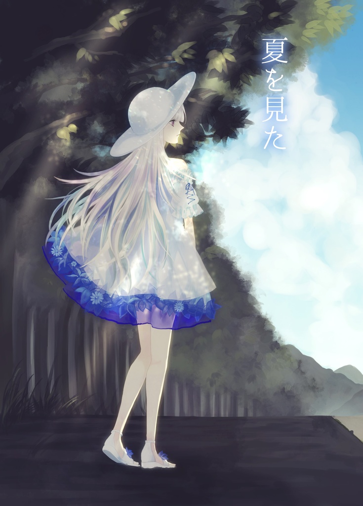 夏を見た（書籍）