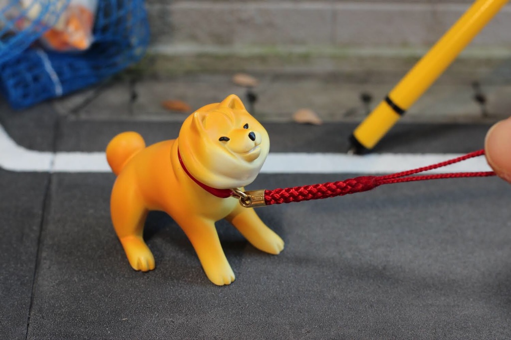 散歩から帰りたくない柴犬