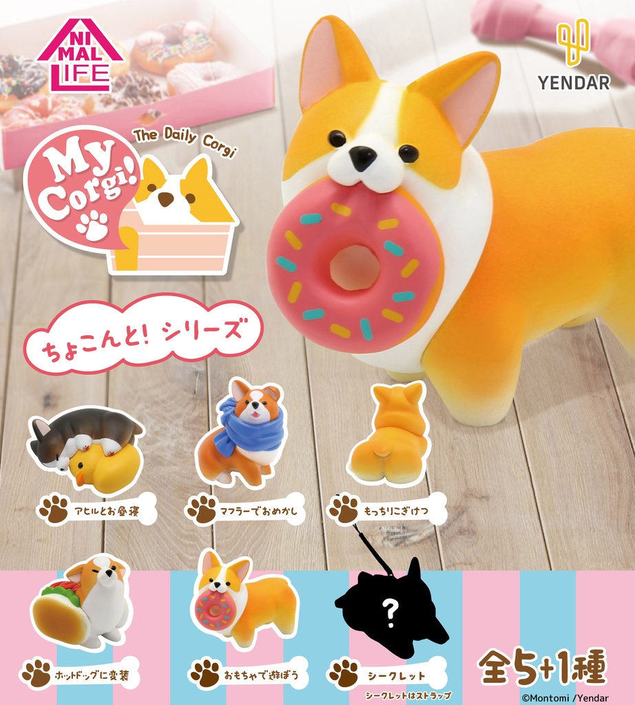 ANIMAL LIFE 「ちょこんと！シリーズ」The Daily Corgi（BOX販売）