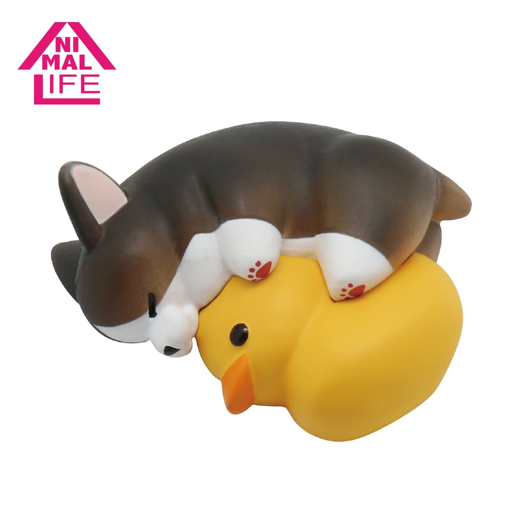 ANIMAL LIFE 「ちょこんと!シリーズ」The Daily Corgi(単品 / ランダム販売)