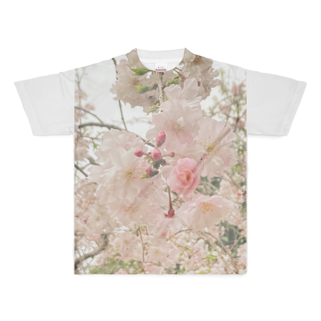 桜に一目惚れ