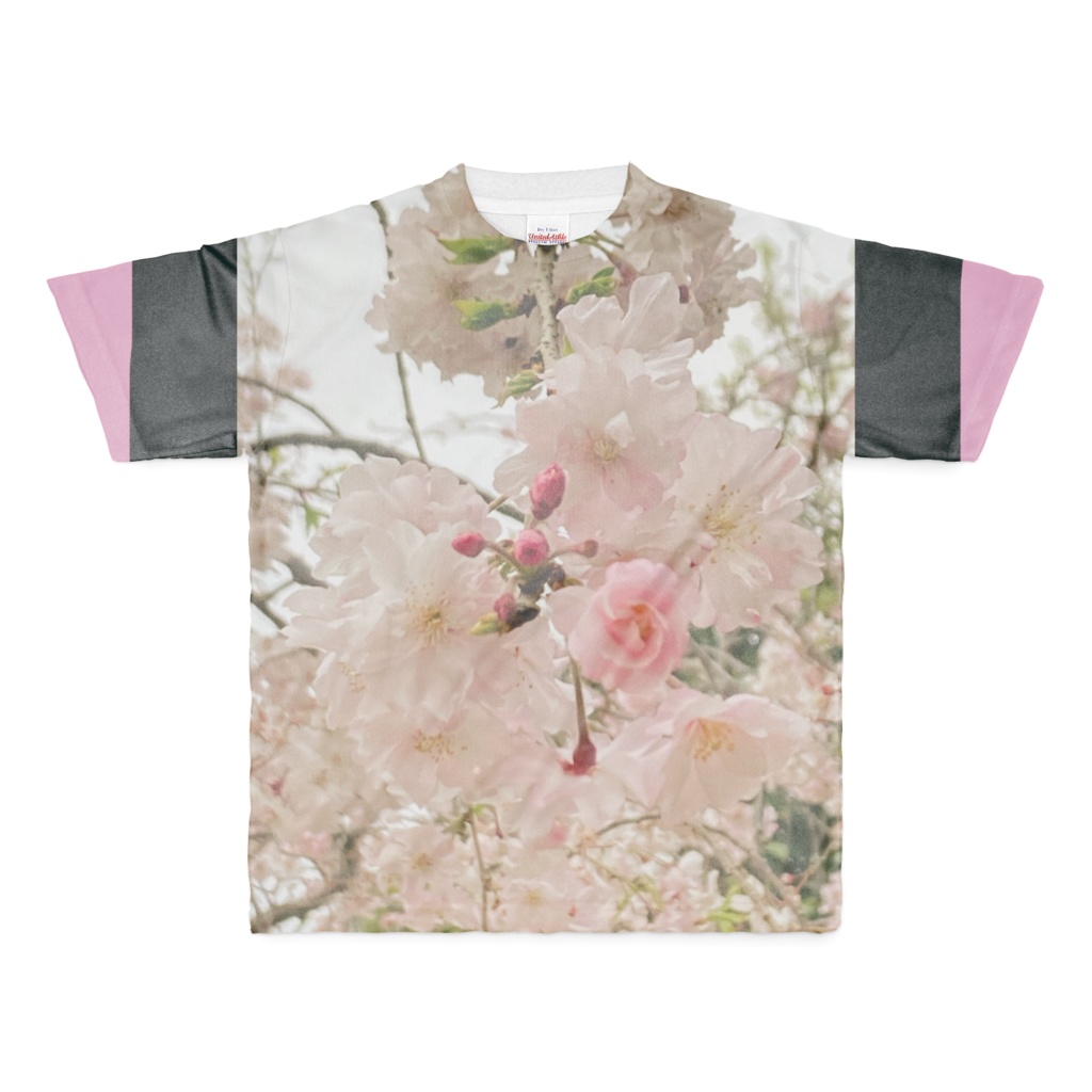 桜に一目惚れ2