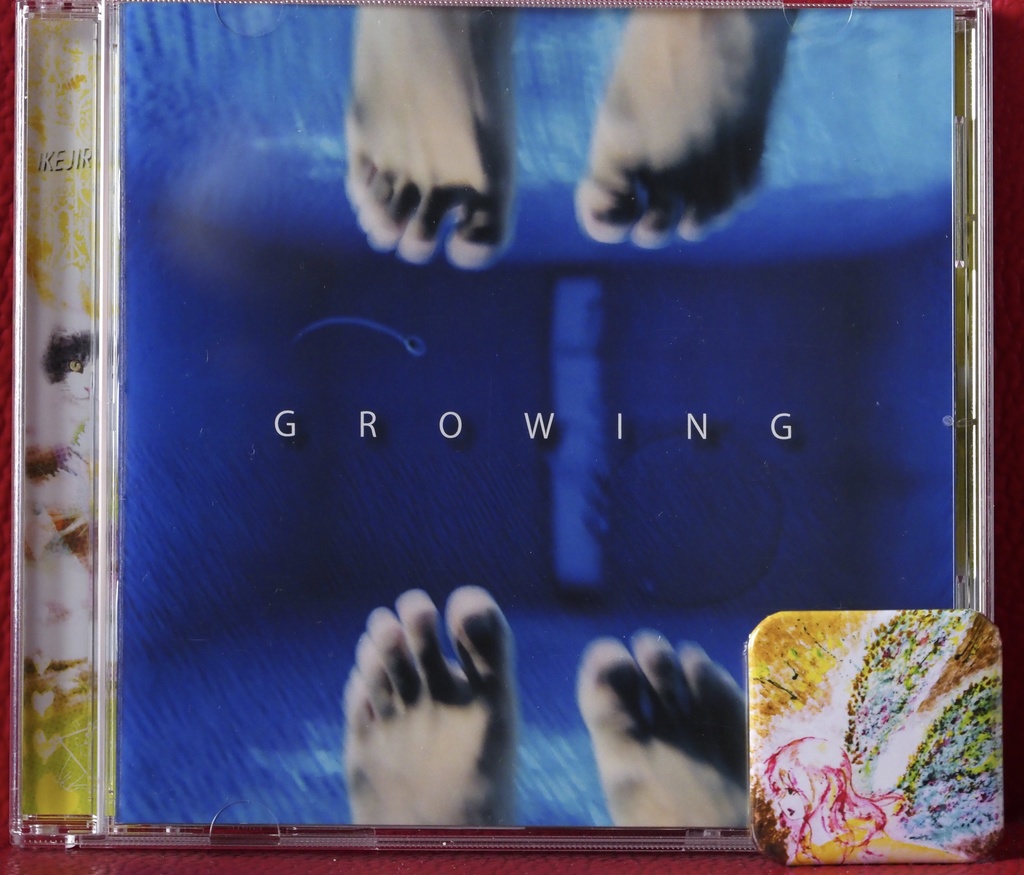 電脳音楽塾コンピレーションアルバム「growing」