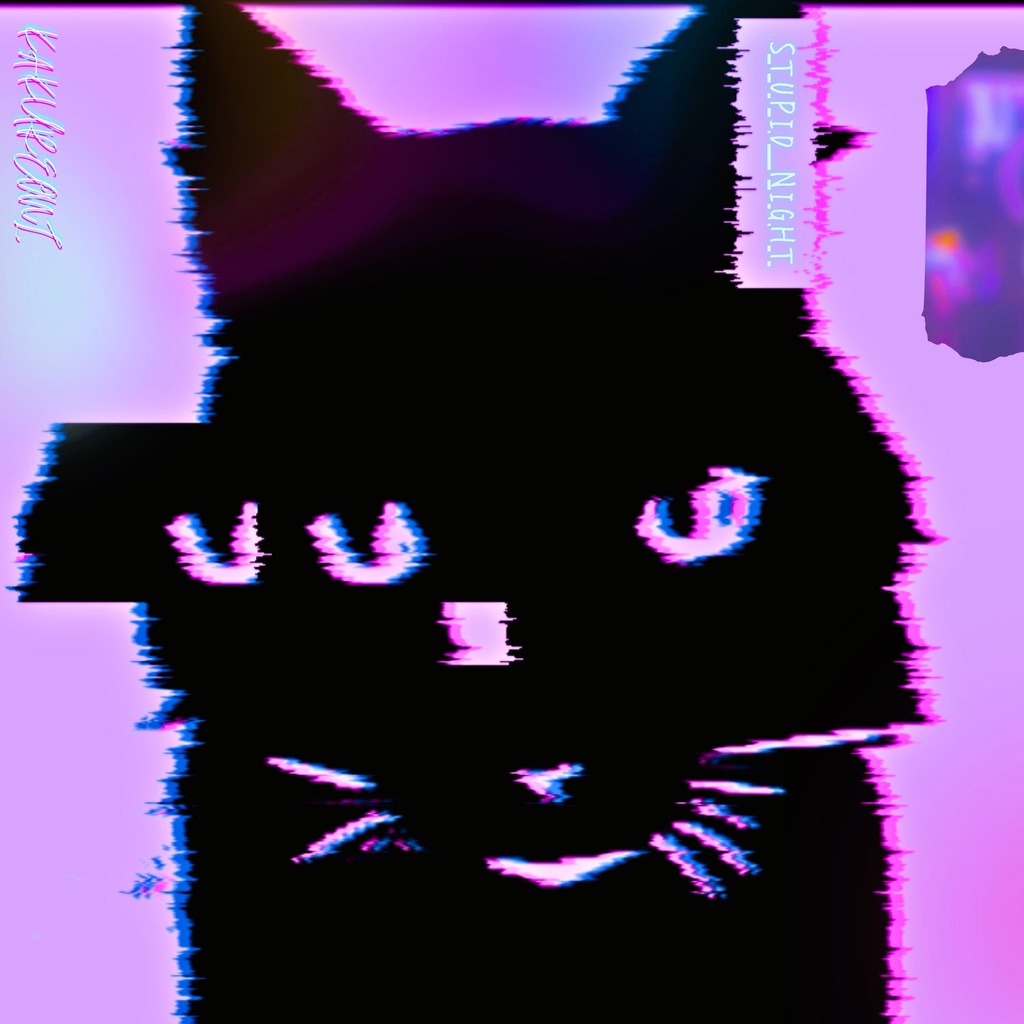 Stupid Night