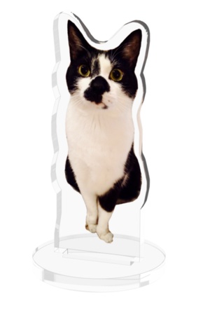 ととくんアクリルフィギュア2種類