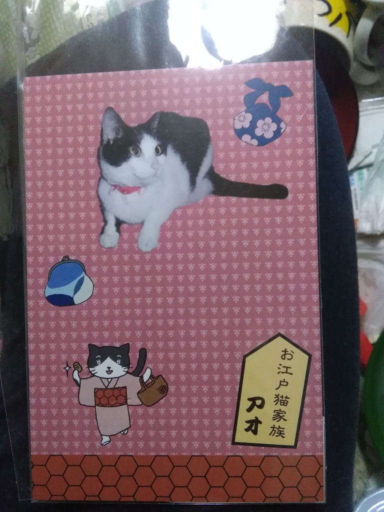 お江戸猫家族アオポストカード