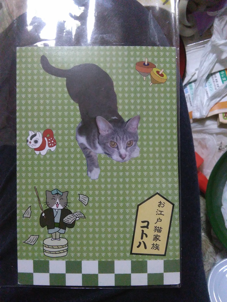 お江戸猫家族コトハポストカード