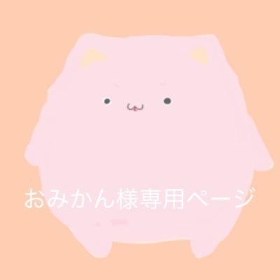 おみかん様専用ページ