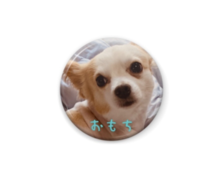 値下げ ミニ缶バッジ 5種セット