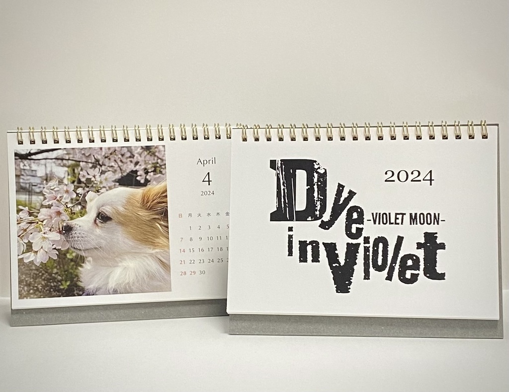 2024 VIOLET MOON 福袋