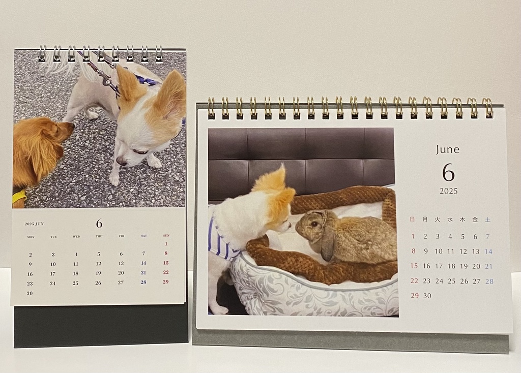 VIOLET MOON 福袋2025年度版 SSR