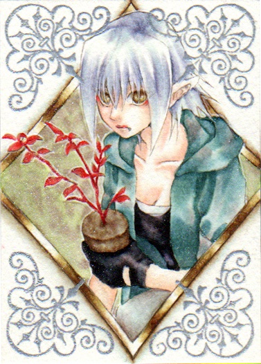 ATC【セフィーデ】