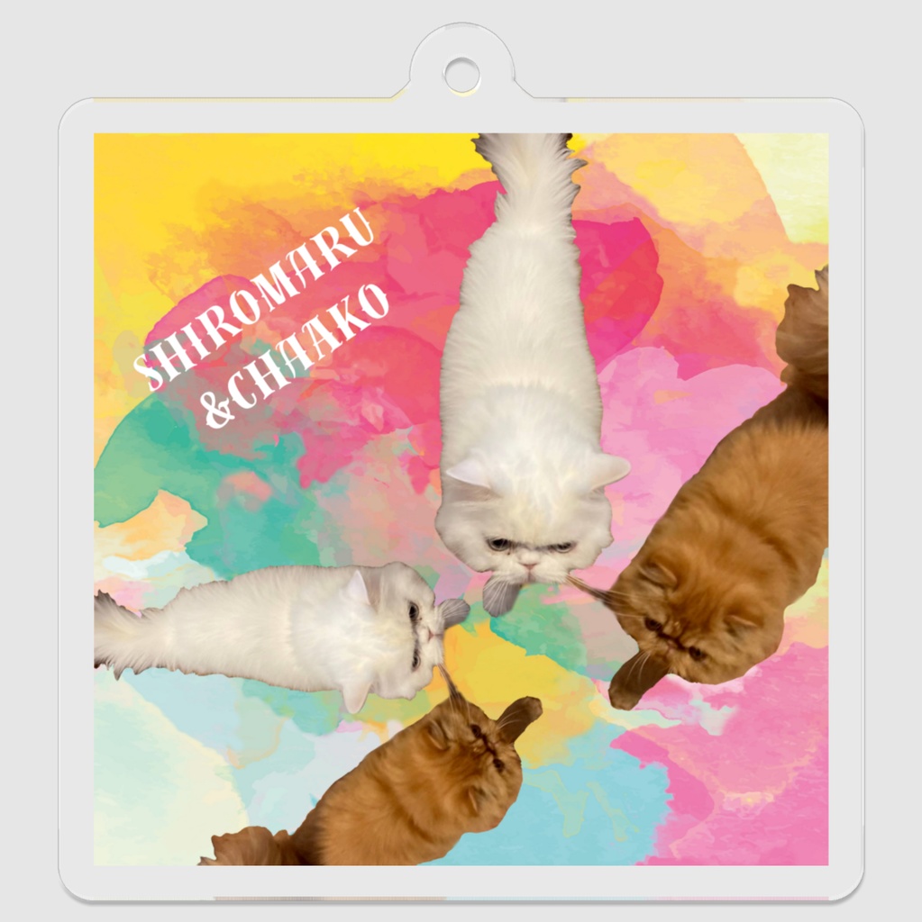 ぷりめろアクリルキーホルダー Friendsシリーズ第4段「Shiromaru&Chaako」デザイン3展開 サイズ50㍉×50㍉