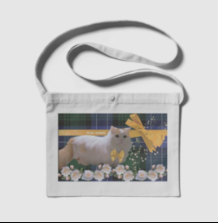 ぷりめろサコッシュ「Happy Flower With MERON」ホワイトデー2024'Special Edition カラー4展開