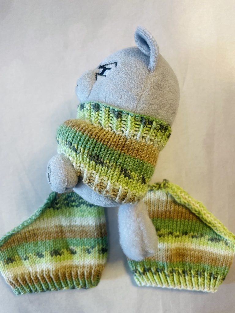 ふぉぜさんセーターとトングソックスのお試しセット(キウイ🥝)
