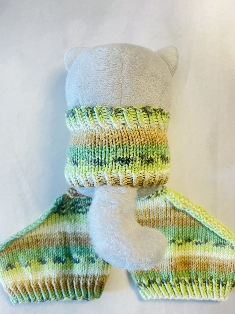 ふぉぜさんセーターとトングソックスのお試しセット(キウイ🥝)