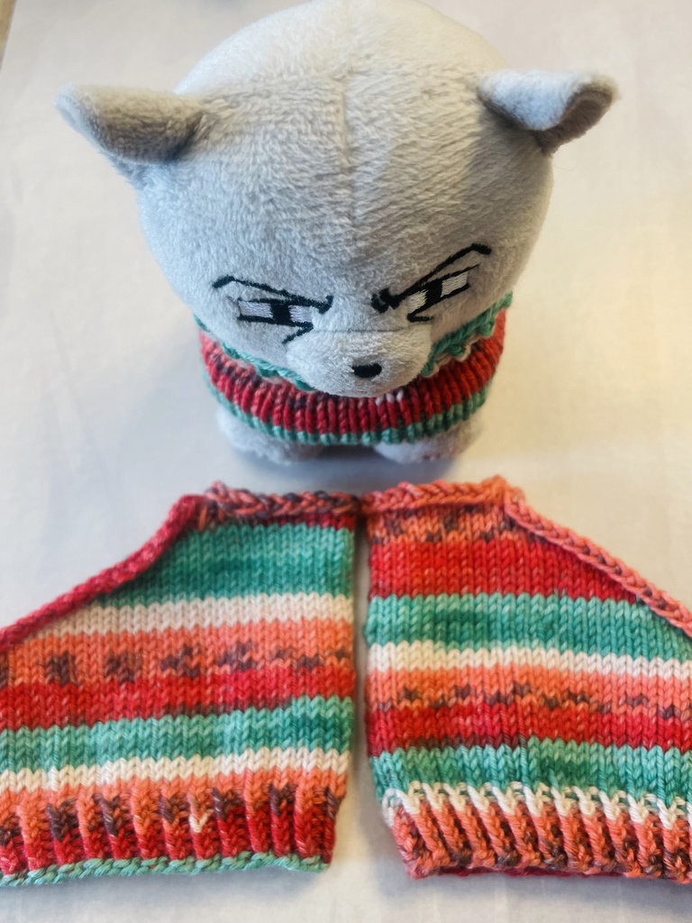 ふぉぜさんセーターとトングソックスのお試しセット(スイカ🍉)