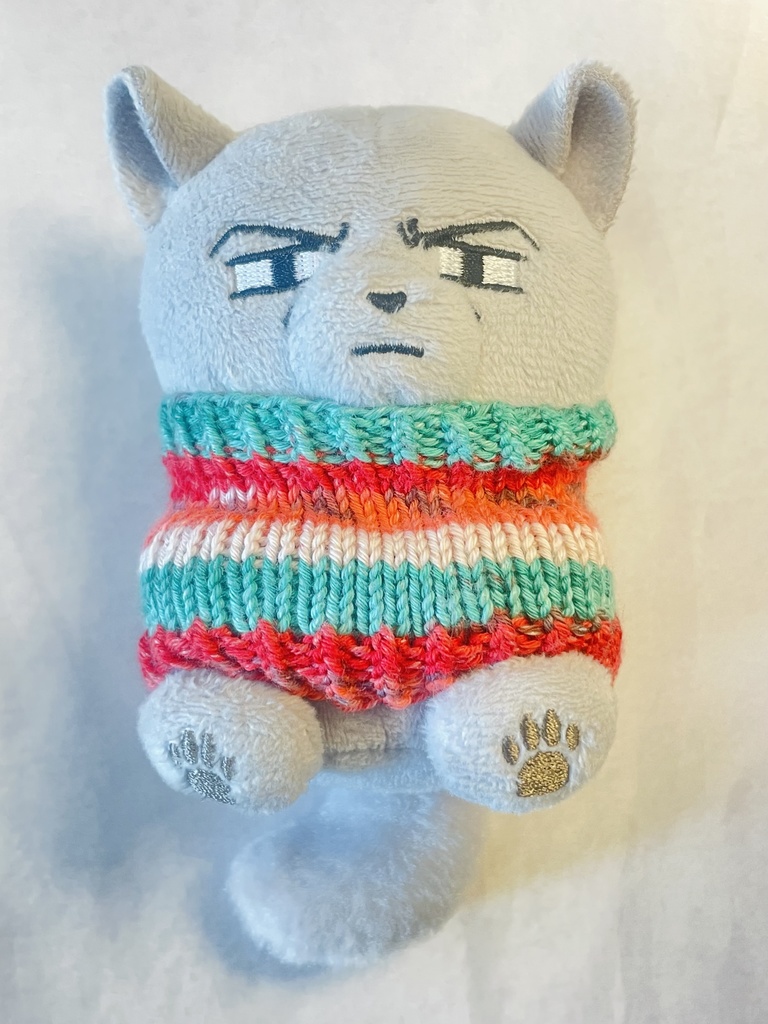 ふぉぜさんセーター/スイカ🍉