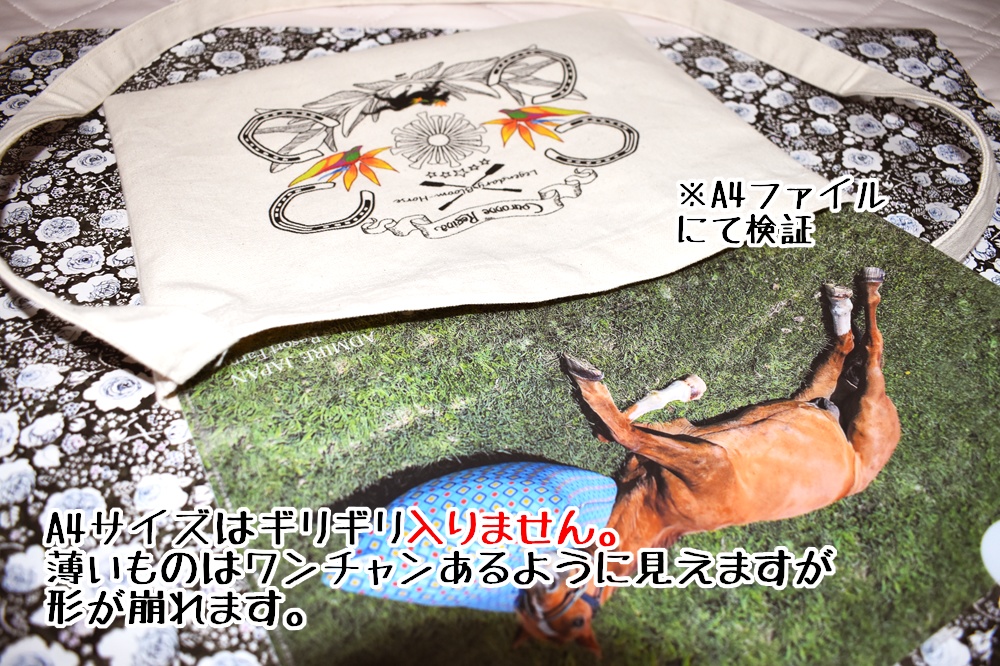 【PFSOZ】サコッシュ