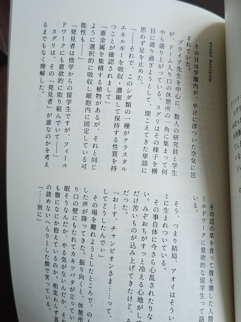 事象の地平線