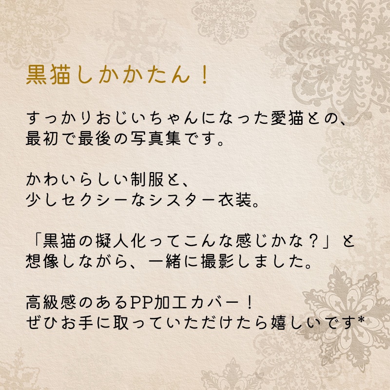 写真集「11・11」