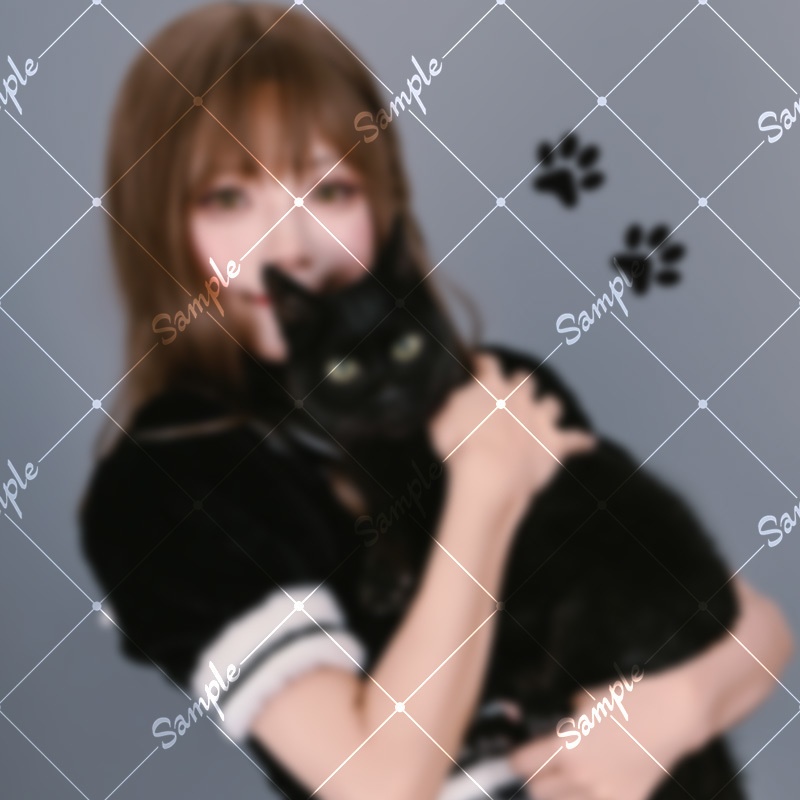 写真集「11・11」